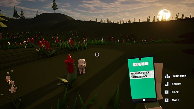 Dog Walking Adventures