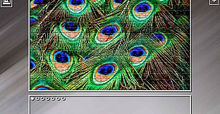 Super Jigsaw Puzzle: Generations - Birds 2