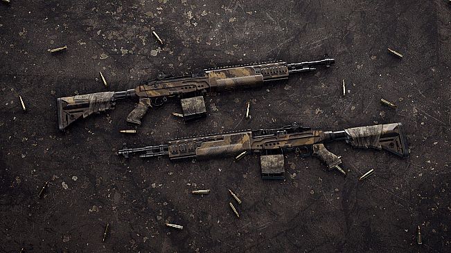 Insurgency: Sandstorm - Endurance Weapon Skin Set