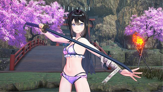 SAMURAI MAIDEN - Tsumugi's Costume: Victory Swimsuit 4-Color Set