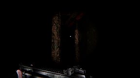 Silence In The Cabin