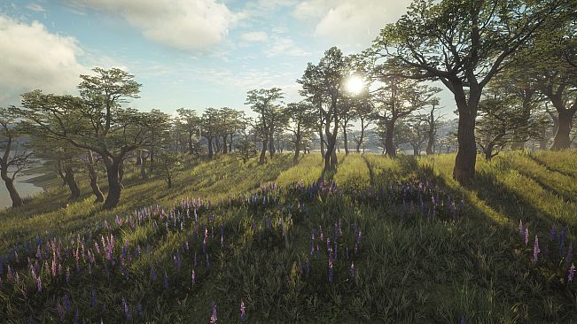 theHunter: Call of the Wild - Parque Fernando - Windows 10