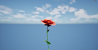 a Flower for you