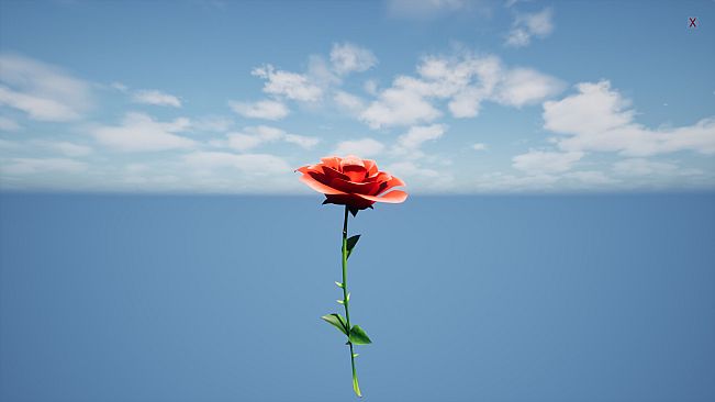 a Flower for you