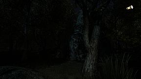 The Secret of Pineview Forest