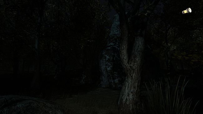 The Secret of Pineview Forest