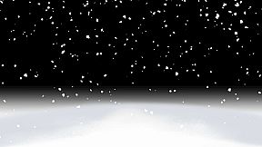 Dreaming in Cherry Blossoms, I Fall in Love with You