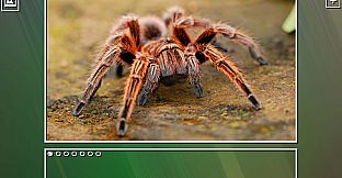 Super Jigsaw Puzzle: Generations - Bugs Puzzles