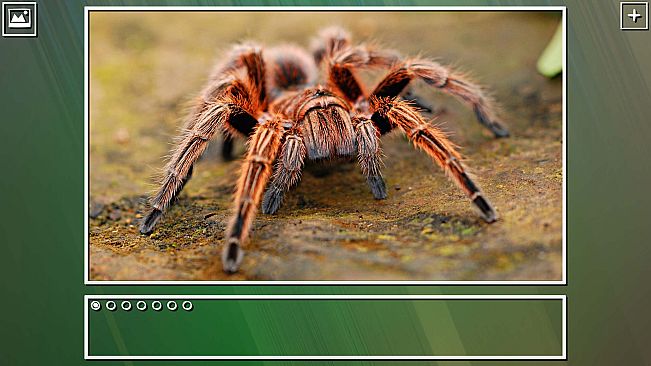 Super Jigsaw Puzzle: Generations - Bugs Puzzles