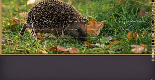 Jigsaw Puzzle Pack - Pixel Puzzles Ultimate: Animals 2