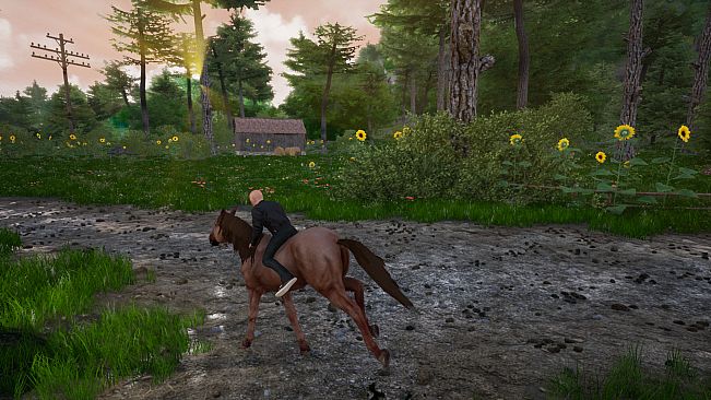 Horse Riding Deluxe 2