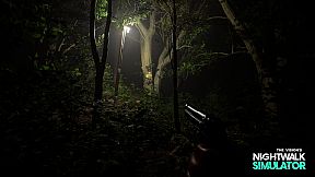 Nightwalk Simulator