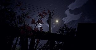 Summer times Afternoon