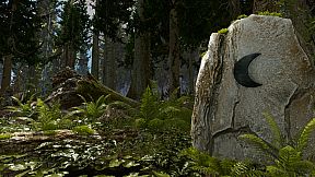 Shinrin-yoku: Forest Meditation and Relaxation