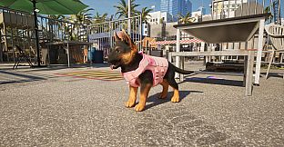 Quarantine Zone: The Last Check - Miami Supporter Pack