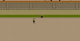 Solo Cultivation 独修