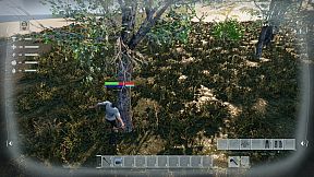 Once Upon a Time in the Colony