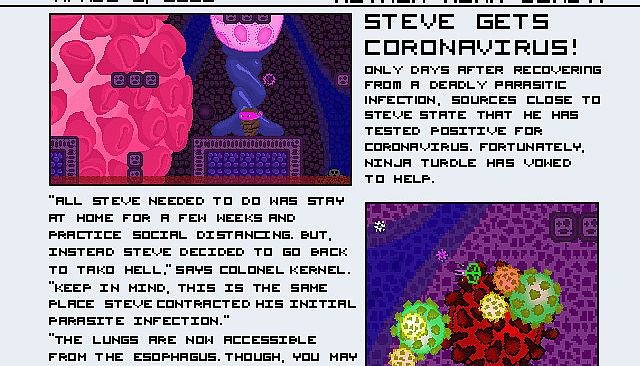 Ninja Turdle - Coronavirus DLC