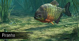 Ultimate Fishing Simulator - Amazon River DLC