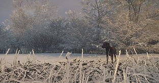 theHunter: Call of the Wild - Labrador Retriever - Windows 10