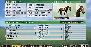 WP9 2020 レジェンドホース購入権フルセット 全4頭