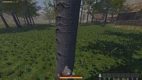 QUESTSCAPE: Survival