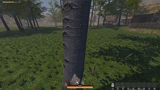 QUESTSCAPE: Survival