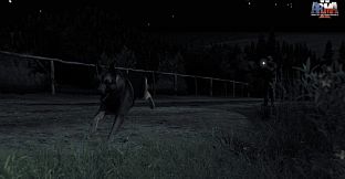 Arma 2: Army of the Czech Republic