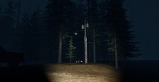 Stray Light