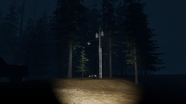 Stray Light