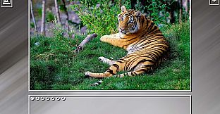 Super Jigsaw Puzzle: Generations - Random Animals Puzzles