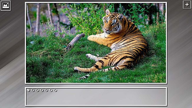 Super Jigsaw Puzzle: Generations - Random Animals Puzzles