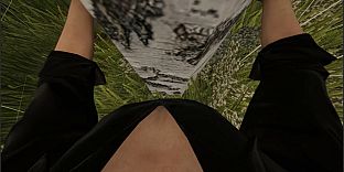 Tree Hugging Simulator