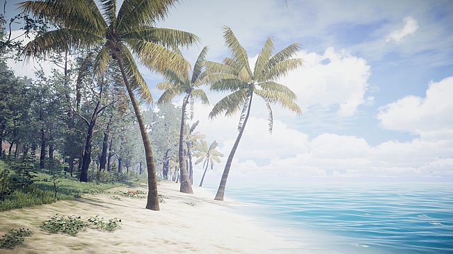 PROJECT D : Human Risen