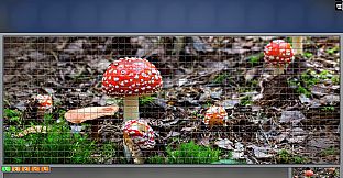 Jigsaw Puzzle Pack - Pixel Puzzles Ultimate: Variety Pack XXL