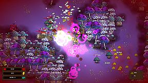 Whiskers and Wizardry