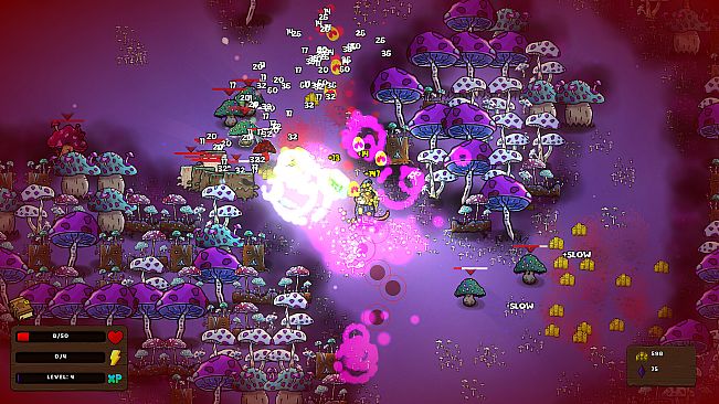 Whiskers and Wizardry