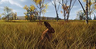 Way of the Hunter - Lintukoto Reserve