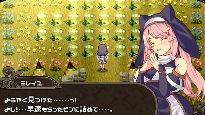 [Available in English] Mireille and Amrita, the Forest of Illusions - Additional adult story & Graphics DLC