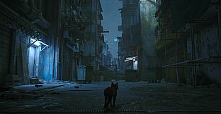 Stray