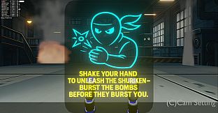 Ninja Vs Bomb