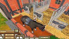 My Riding Stables: Your Horse world