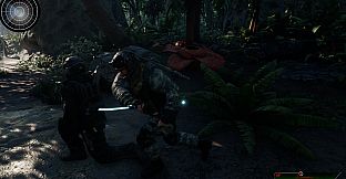 Intelligence Operation