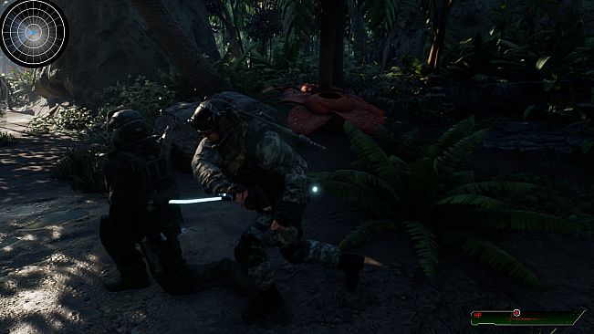 Intelligence Operation