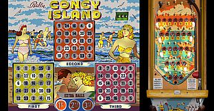 Bingo Pinball Gameroom - Bally Coney Island