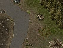 Lost Remnant: Wherehouse