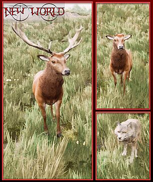 Crow Forest: New World