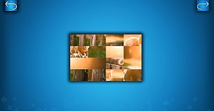 PUZZLE: CATS & DOGS - Puzzle Pack: Summer Cats