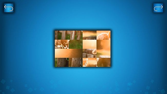 PUZZLE: CATS & DOGS - Puzzle Pack: Summer Cats