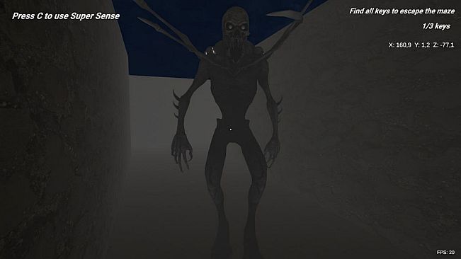 SHADOW MAZE Descent into Fear